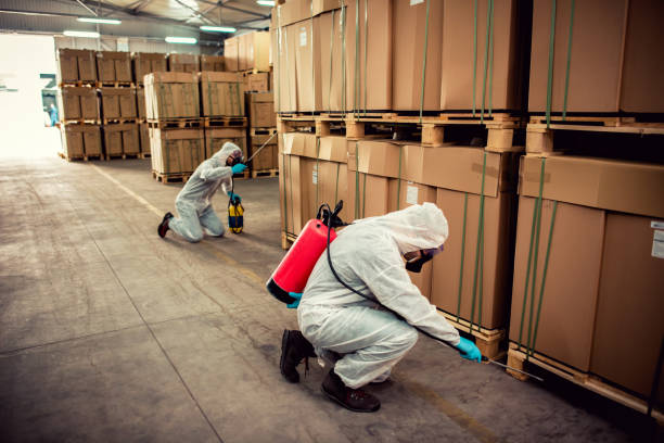 Best Pest Prevention Services  in Franklin, VA