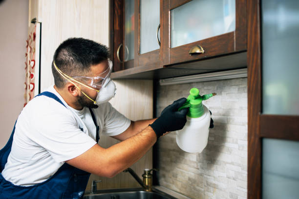Pest Control for Restaurants in Franklin, VA