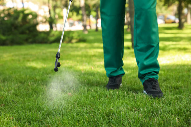 Best Local Pest Control Services  in Franklin, VA
