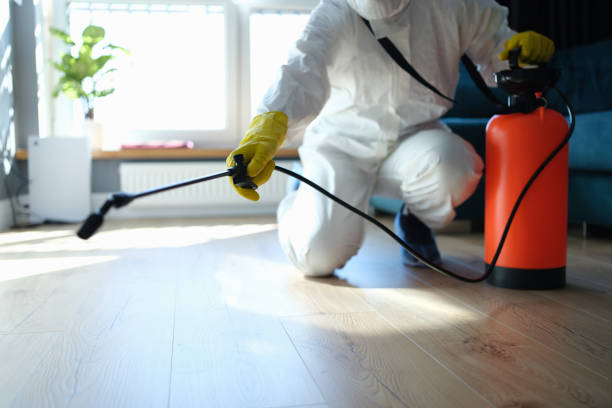 Best Termite Control Services  in Franklin, VA