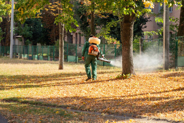 Best Affordable Pest Control Services  in Franklin, VA