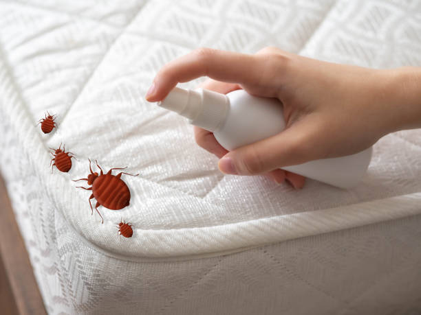 Best Emergency Pest Control  in Franklin, VA