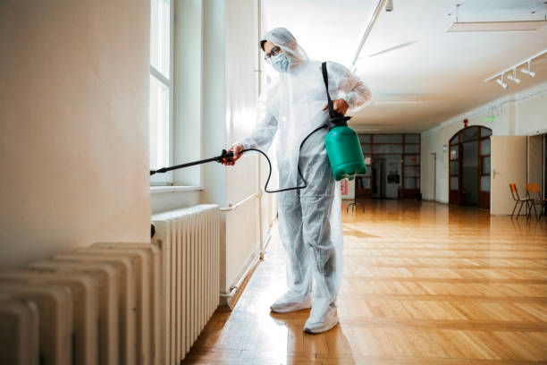 Best Wasp Removal Services  in Franklin, VA